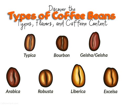 Types of Coffee Beans: Types, Flavors, and Caffeine Content | Types of ...