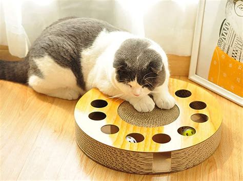 Keep Your Furry Friends Entertained With These Cat Toys – SPY