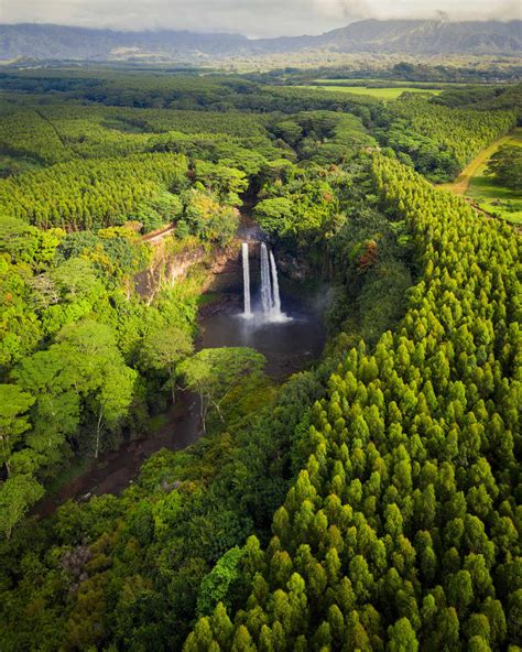 Wailua Falls & Landscape of Wailua River State Park Forest | Explorest