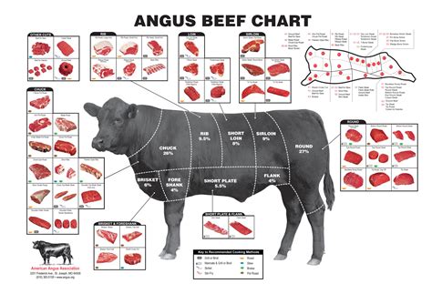 Beef Cuts Chart And Diagram, With Photos, Names, Recipes,, 55% OFF