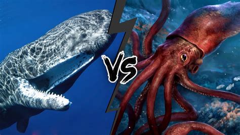 Colossal Squid Vs Giant Squid