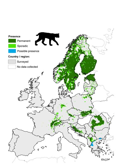 Eurasian Lynx Habitat