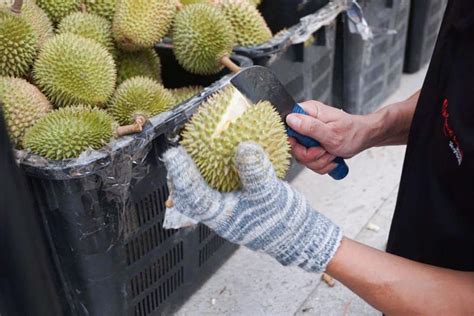 12 honest durian stores in Singapore that boast the real deal