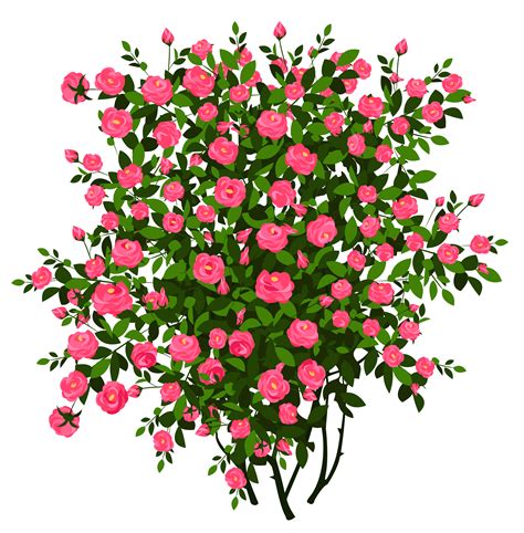 Bushes clipart transparent flower, Bushes transparent flower ...