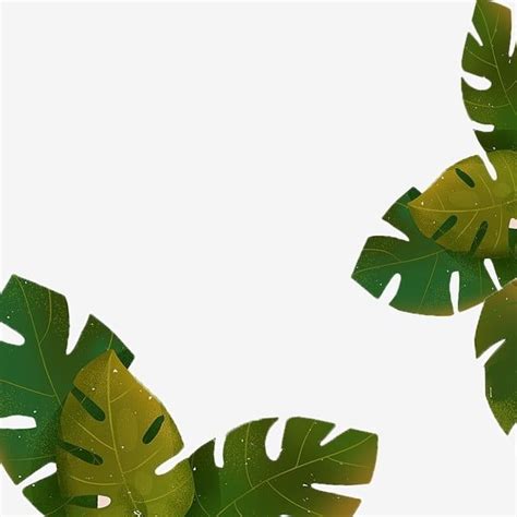 Plant Leaf Clipart Transparent PNG Hd, Plant Leaf Cartoon Png Material ...