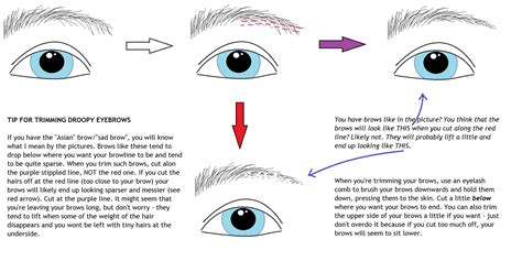 Rogaine (Minoxidil) for eyebrow growth - Check Reviews and Prices of ...