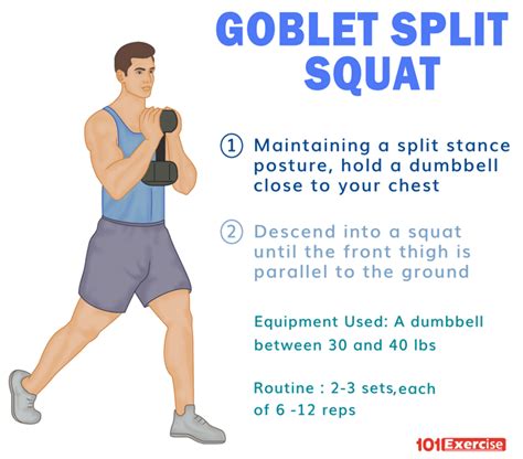 Goblet Split Squat | 101Exercise.com