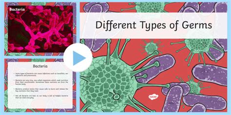 Bacteria | Bacteria Facts for Kids | Shapes of Bacteria