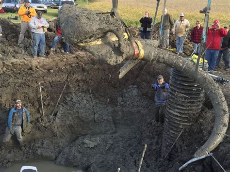 Woolly mammoth discovered in field in Chelsea, Michigan - Strange Sounds