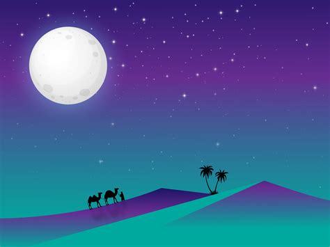 Desert Night illustration by Asif Rahman on Dribbble