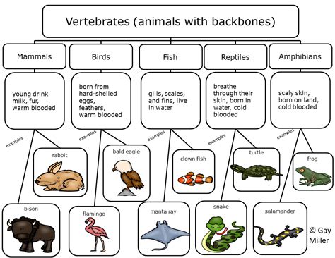 The Easy Guide to Semantic Mapping (With Examples) - Edraw