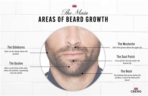 How to Grow A Beard Faster and Naturally - EU-Vietnam Business Network ...