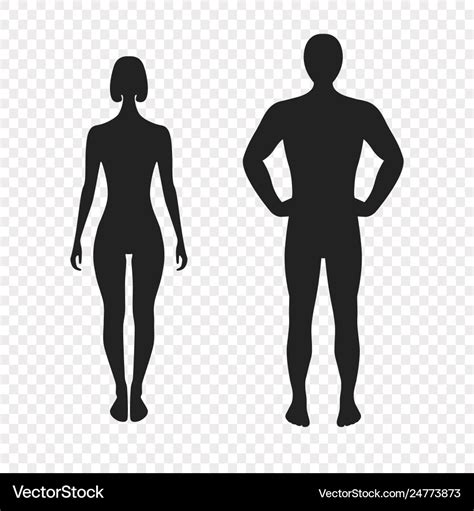 Human silhouettes full face Royalty Free Vector Image