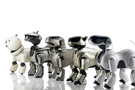 Aibo-Repairs.com - The Sony AIbo Legacy