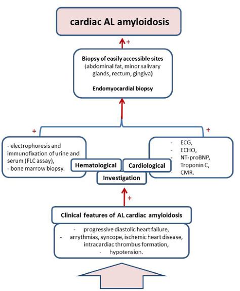 How To Diagnose Amyloidosis - Electricitytax24