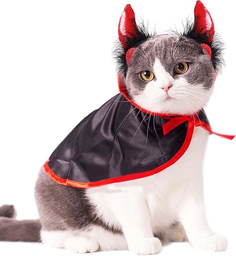 14 Best Halloween Costumes For Your Cat This Year