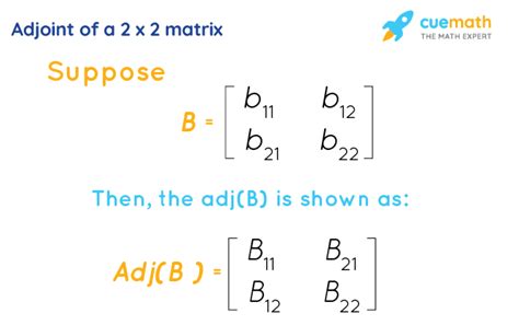 Adjoint of a Matrix - 2x2, 3x3, Formula, Properties | Adjugate