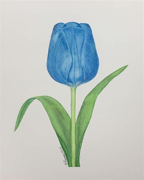 Blue Tulip 1 | Blue tulips, Cute flower wallpapers, Purple wallpaper iphone