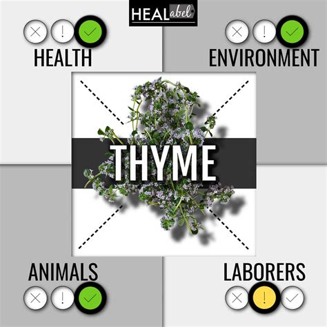 thyme health benefits Archives | HEALabel