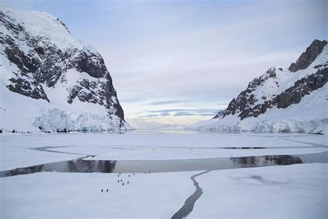 Antarctica's Vast Landscape - Photo: Antarctica21 - Patagonia Hero