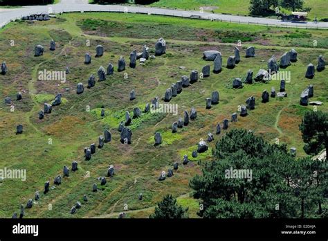 France, Morbihan, Carnac, row of megalithic standing stones at Kermario ...