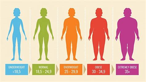 How To See If You Are Overweight - Numberimprovement23