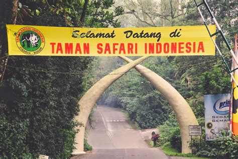 7 Tempat Wisata Di Bogor Yang Cocok Untuk Keluarga - Tempat Wisata