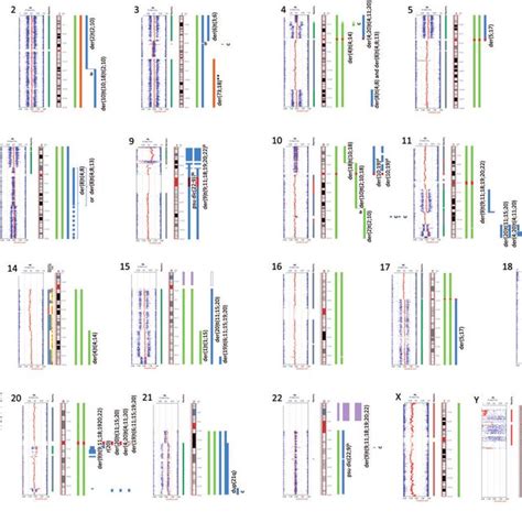 SNP array images for each chromosome with their interpretation. SNP ...