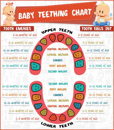 Teething And Your Baby: Symptoms And Remedies - Mamma Health | Baby ...