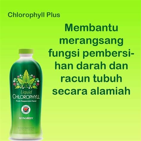 Jual AMPUH PAKET HERBAL OBAT Biduran Terbaik Yang Aman dan Muzarab di ...