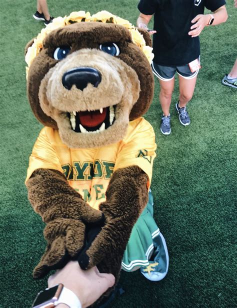 Baylor University Mascot | Baylor university, Baylor football, Baylor