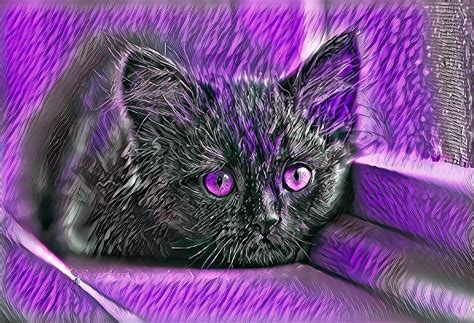 Super Cool Black Cat Purple Eyes Digital Art by Don Northup - Fine Art ...