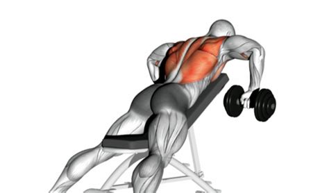 Chest-Supported Incline Row (dumbbell) - Alignment Tips and Mistakes to ...