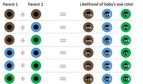 Why eyes have different colors: a science-based look