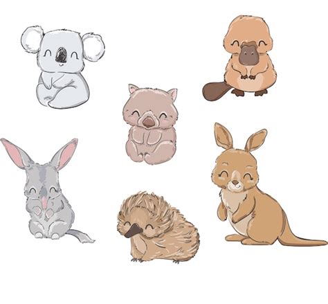 Cute Wombat Cartoon