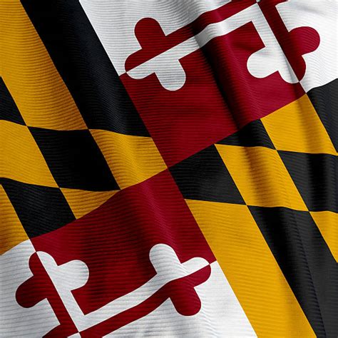 Maryland Flag Pictures, Images and Stock Photos - iStock