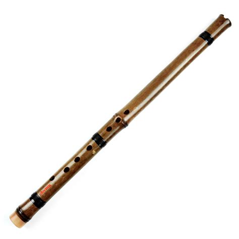 Gold Bamboo Flute Chinese Flute Xiao Bamboo Professional Musical ...