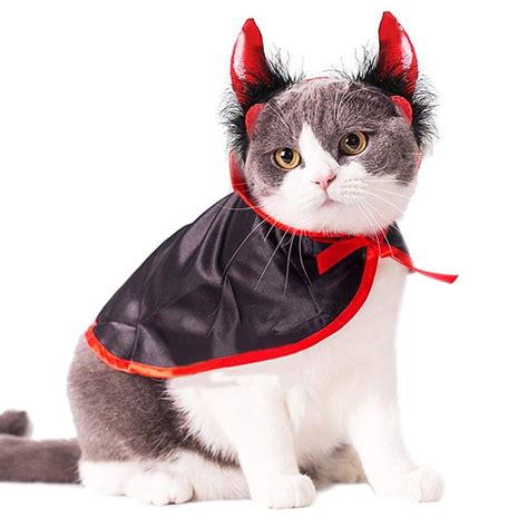 Evil Cat Costume 15 Hilarious Cats In Costumes - Cute Animal Costume