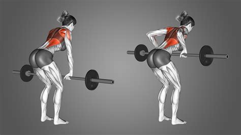 Barbell Row: Benefits, Muscles Used, and More - Inspire US