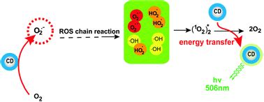 Production of superoxide anion radicals as evidence for carbon nanodots ...