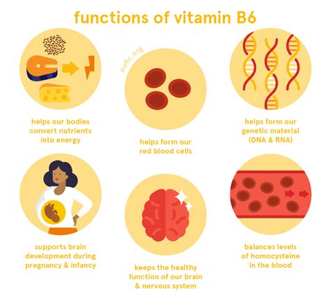 Vitamin B6: foods, functions, how much do you need & more | Eufic