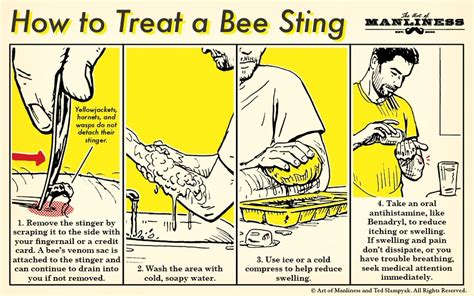 How to Treat a Bee Sting | The Art of Manliness