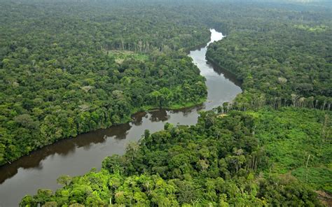 Conservation International Suriname