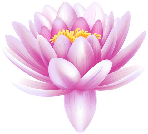 Free Water Lily Cliparts, Download Free Water Lily Cliparts png images ...