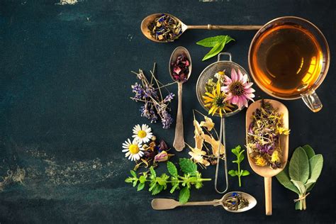 5 DIY Herbal Tea Blends You Need To Try | PRANCIER