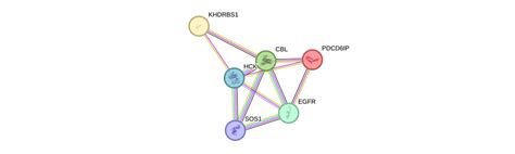 HCK Gene - GeneCards | HCK Protein | HCK Antibody