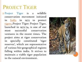 Project tiger