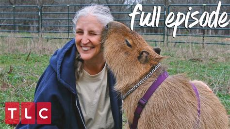 Obsessed With Her Pet Capybara! | My Crazy Obsession (Full Episode ...