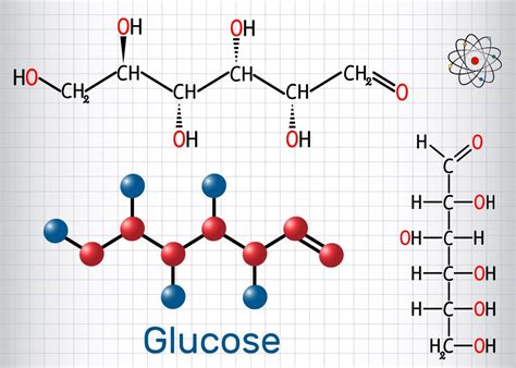 Information about carbohydrates