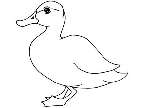 Duck Coloring Pages For Toddlers Coloring Pages